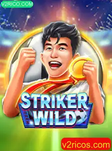 Descubra o Mundo de StrikerWILD na Era Digital com V2RICO.COM